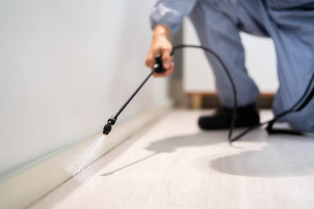 Licensed Cockroach Control service in Lake Charles, LA - Nex Pest Control