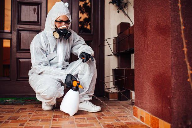 Reliable Cockroach Control contractor in Lake Charles, LA by Nex Pest Control