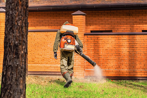 Trusted Termite Control service in Lake Charles, LA - Nex Pest Control